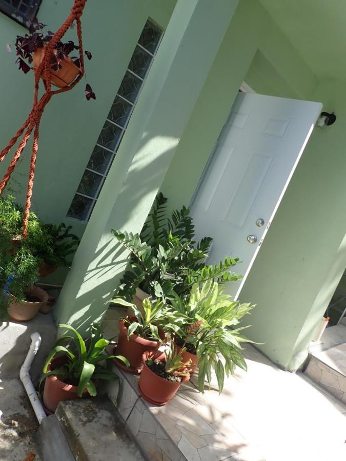 Urban Oasis Apartment Castries Bagian luar foto